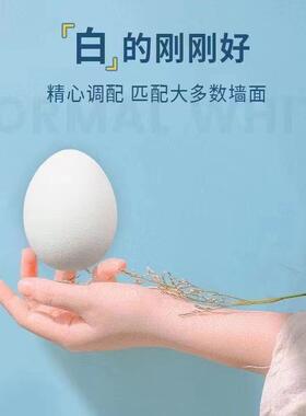 补墙膏内墙乳胶漆墙损面补白色防腻修子膏粉墙皮脱落破JIR白漆刷