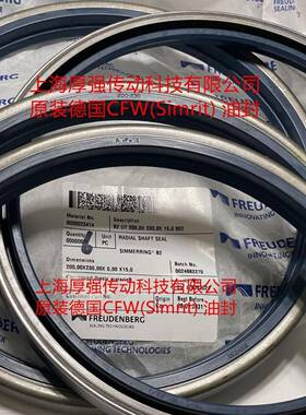 德国SimritF/RE-UDENBERG科德宝外壳油封AcFw1B铁2XBSU7-200230-1
