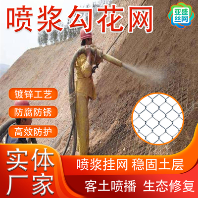 【厂家直销】喷浆挂网镀锌勾花网