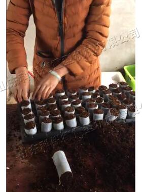 无纺营养动钵育苗机制自钵机器设备布育IGD苗成型压块机