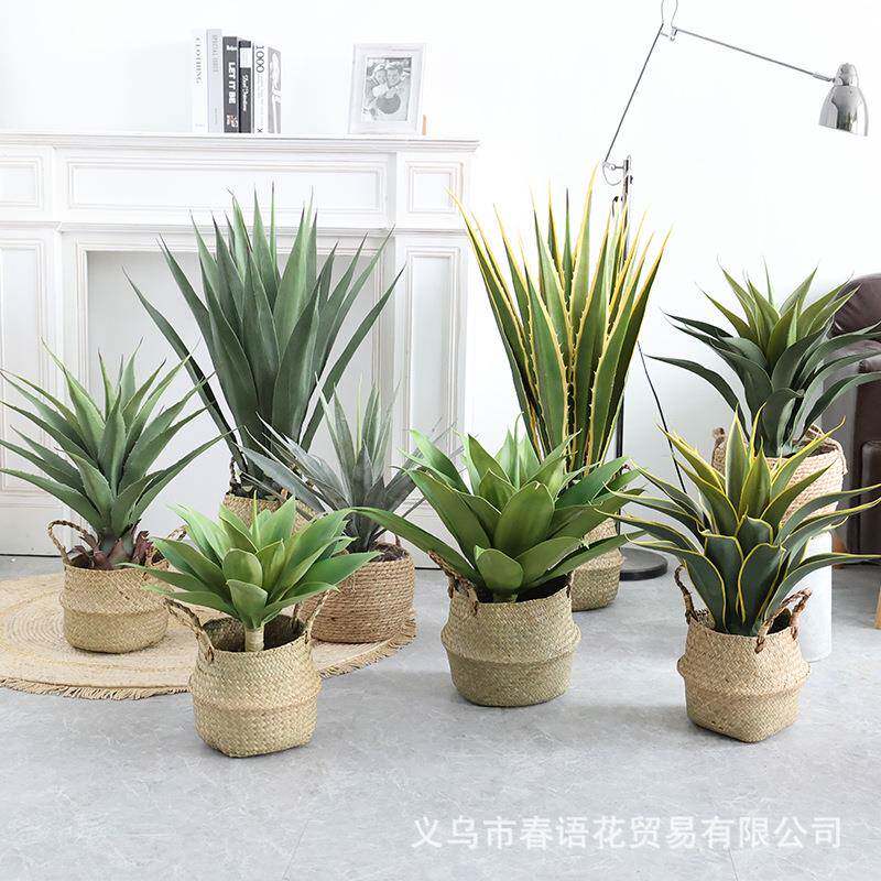 仿真绿RUK植盆景剑麻叶剑兰沙漠植植物热带橱现窗造景大装饰假物