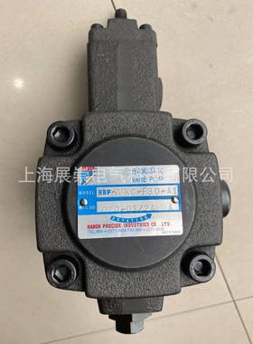 BP-VKC-P-F2-D1-2油泵SSZHHPBP-VPKC-F2-D1-2