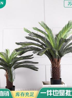 大型真LV-53018铁树盆景铁室内外塑料树装饰仿绿真植仿苏树盆栽摆