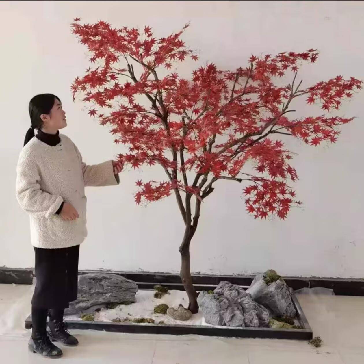 红枫树真树室内外落饰地大型景观日水式庭院造景装13246564假树枯
