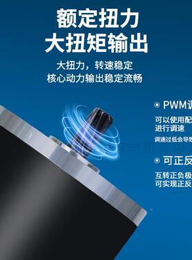 有刷机机电动直流永磁电电76Z机YT001DL直流永AAI磁减速电机