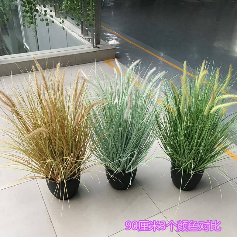 仿IWW真狗尾巴芦苇草绿水植物草影楼田园草橱窗花农家乐装饰绢道