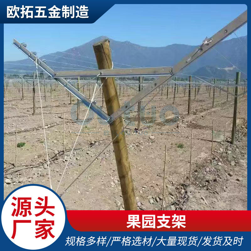 种植山墙棚架葡萄园果园棚架 金属葡萄柱立柱支架桩子