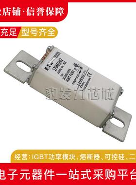 170M1750/1751/1752/1753/1754/1755/1756/1757/1758/1759熔断器