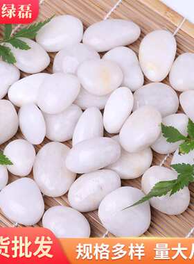 白色抛光鹅卵石 盆栽鱼缸亮光雨花石 园艺铺地装饰园林景观石头