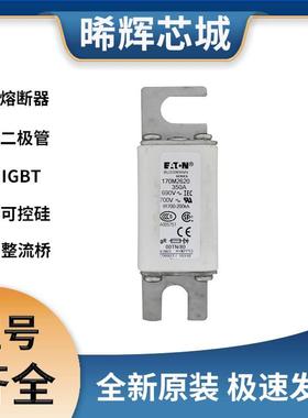 170M2620 170M6689 巴斯曼直流快速熔断器电子元器件库存充足现货