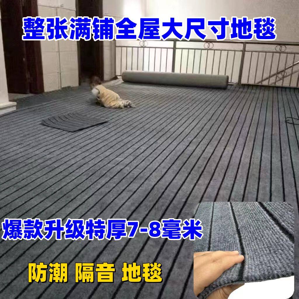 特厚地毯大面积卧室客厅水泥地办公室商用出租屋店铺户外全屋满铺