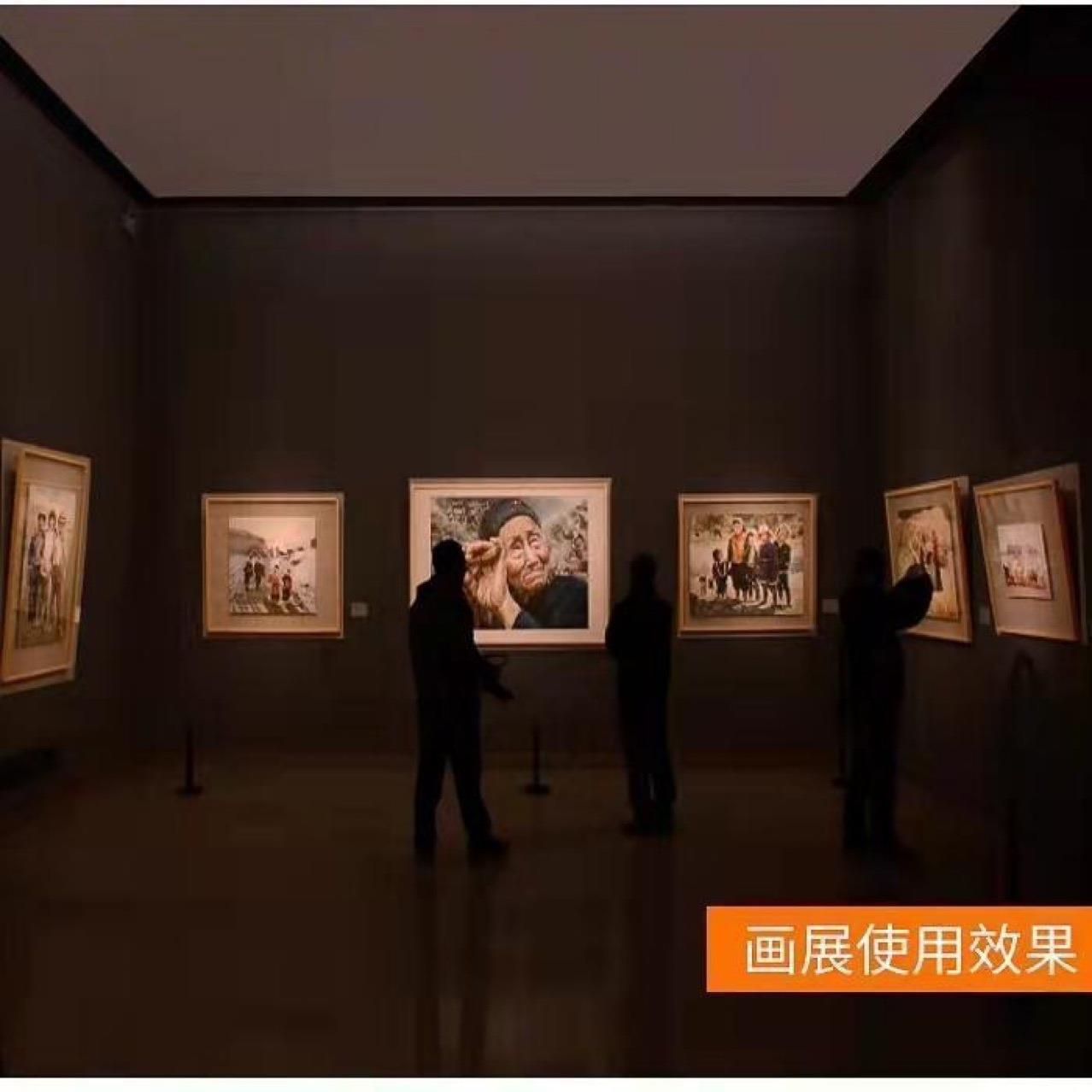 字画展览画廊明装切光灯博物馆聚光led轨道灯截光调形状照画灯