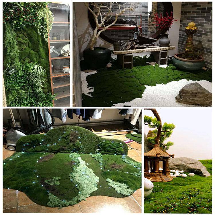 玄硕仿真苔藓草皮微景观盆景造景装饰假苔藓青苔植物墙绿植人造