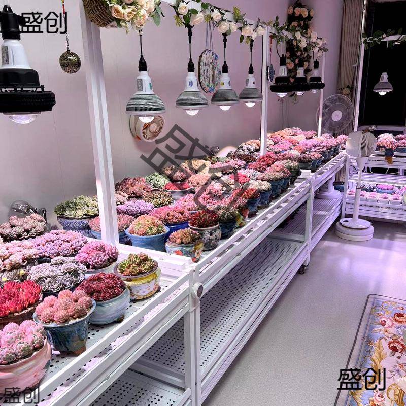 花架多层浇水落地阳台排风扇补光灯养多肉日式块根植物不锈钢花架