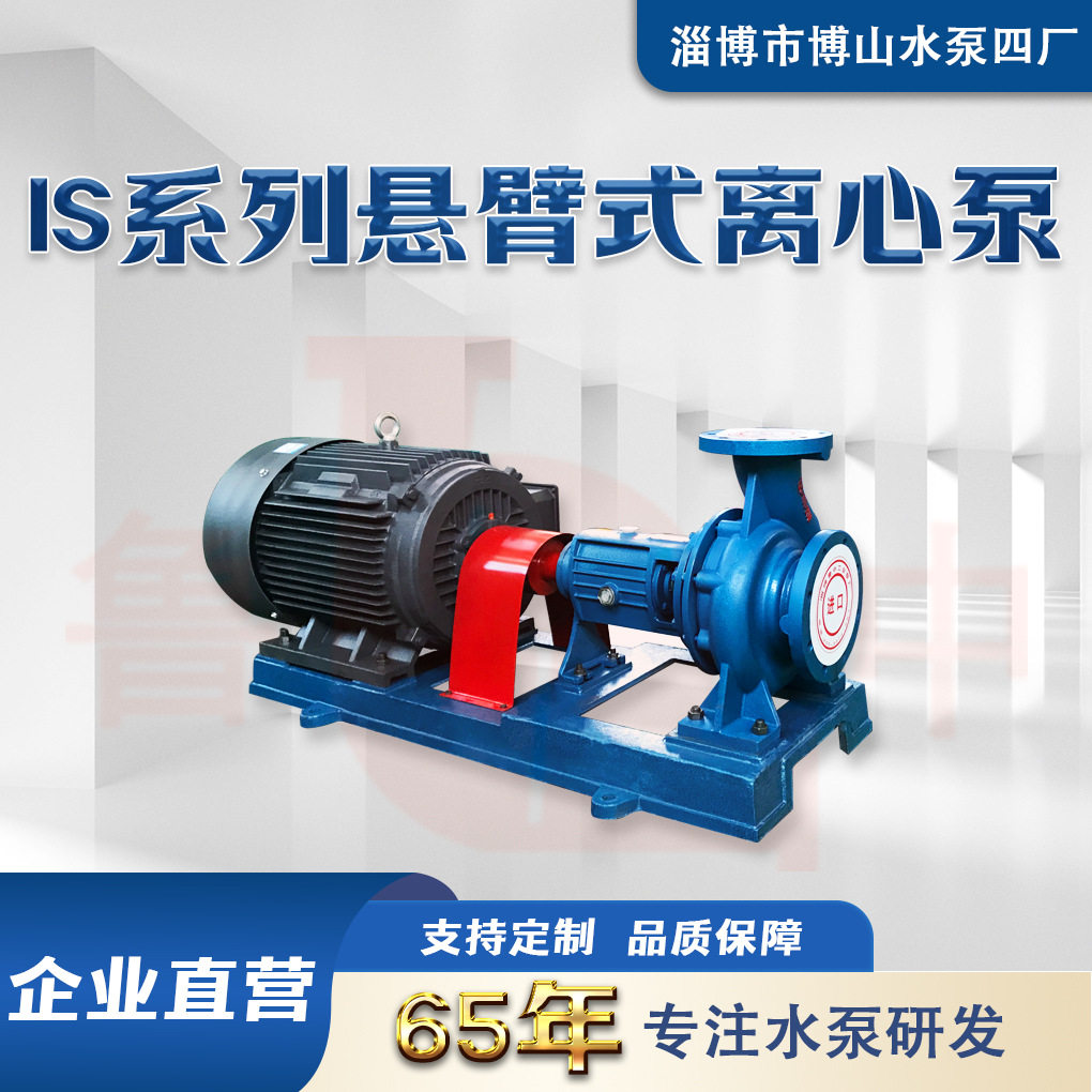 鲁中IS125-100-315单级离心泵