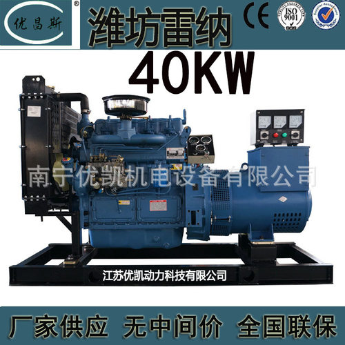 40KW潍坊雷纳柴油发电机组应急