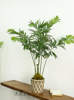 大型真绿植室内装饰家居摆仿网红仿真百搭落地绿植德宝DBST001件