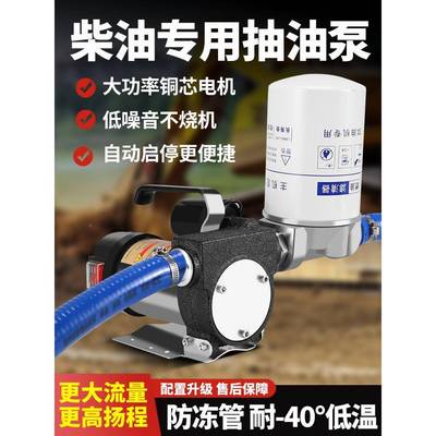 1叶古电动油泵正反转2vEVA24v220v柴油泵加油抽抽机油自吸泵加油