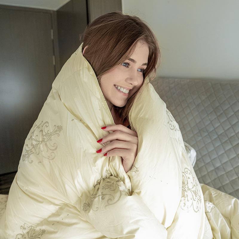 90%白鸭羽绒被厚保单暖加秋绒冬被0002双人被子人被芯