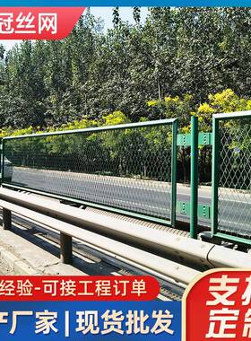 桥梁抛网桥网梁防LEJ抛防钢板网护栏防高架天桥落网高速防眩网片