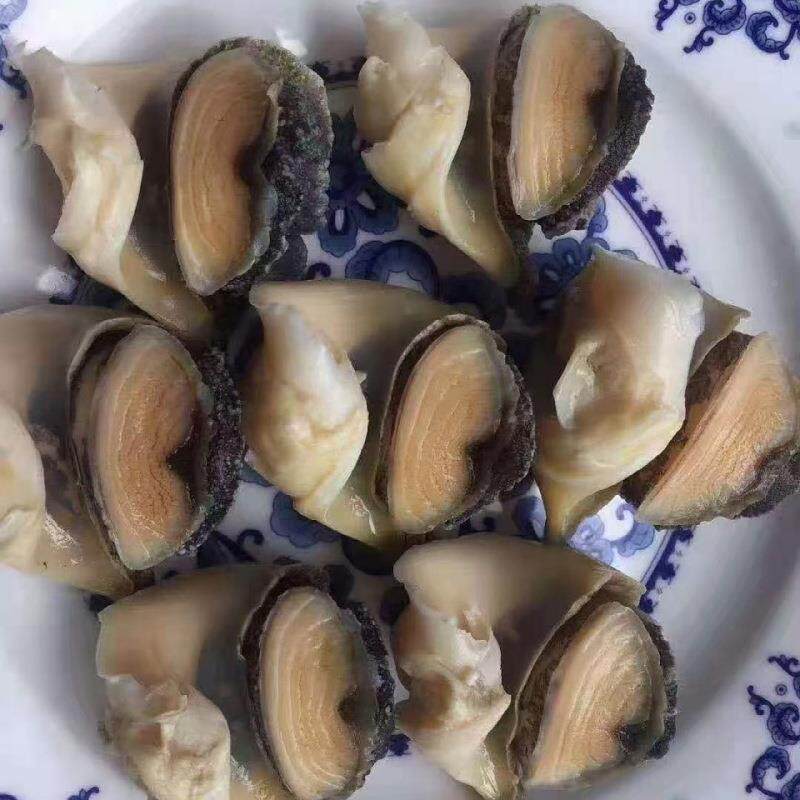 包肉大连特商10-03产新鲜冷冻海螺整箱kg用邮熟冻海螺头螺肉