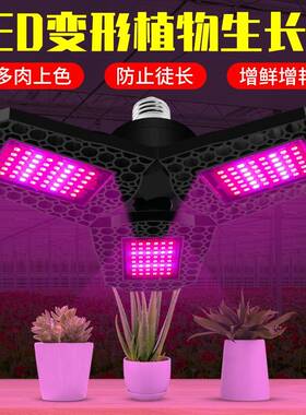 红L生ED植物长灯E27蓝光谱可变形物灯KIV室内阳台种植植补光灯多