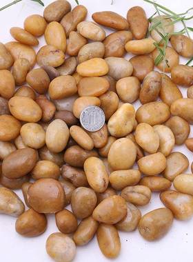 黄色鹅卵抛石造园艺造黄景色光雨花石头景铺路XST亮光石子