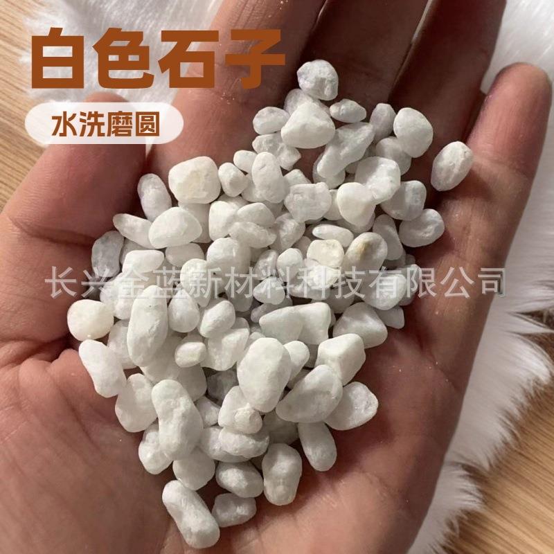 白色水磨磨圆卵石厂家园艺盆栽庭院铺路石头园林枯山水造景白石子