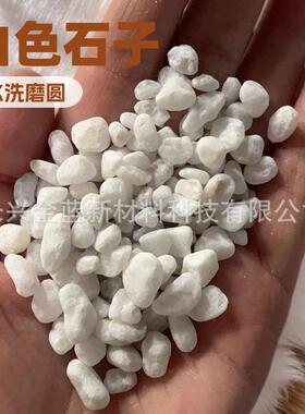 白色水磨磨圆卵石厂家园艺盆栽庭院铺路石头园林枯山水造景白石子