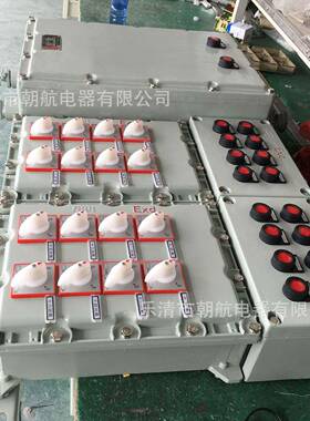 防爆控制箱 CBFK8060 防爆防腐控制箱防爆控制箱 箱体 ex-CDM1