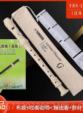 高档YAMAA山叶直笛8孔德式YR-2/英式24B高H音C3调小S学生专用笛子