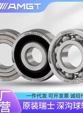AMGT带卡槽深沟球轴承6020N 6021N 6022N 6024N 6026N   2RZN 2ZN