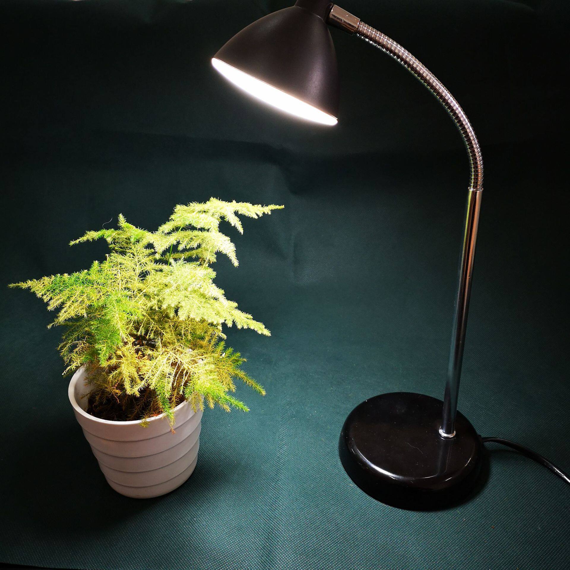 led植物生长灯补光照明两用桌面台灯5W带开关补光灯神器调光