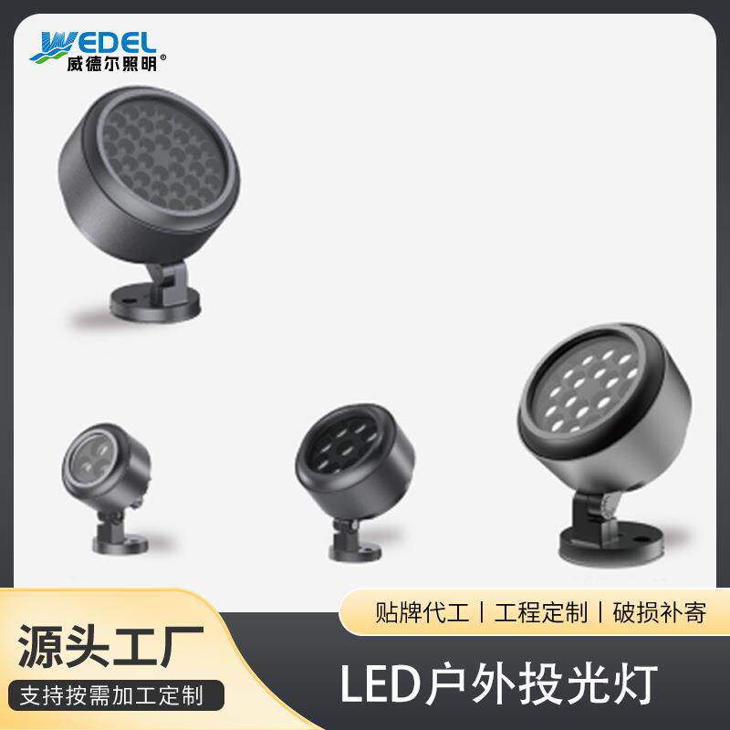 LED投光灯DMX512外控公园景区RGB七彩照树灯聚光楼体射灯