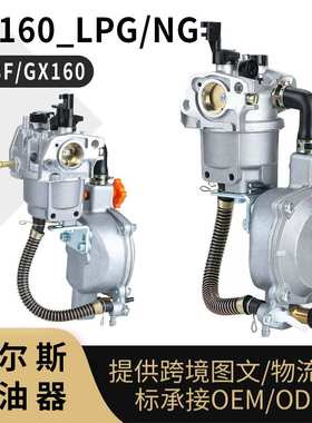 GX160 LPG NG 化油器 168F 170F 3KW 5KW多燃料液化气 carburetor