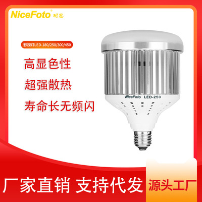 耐思RDG系列LED常亮灯调焦柔光