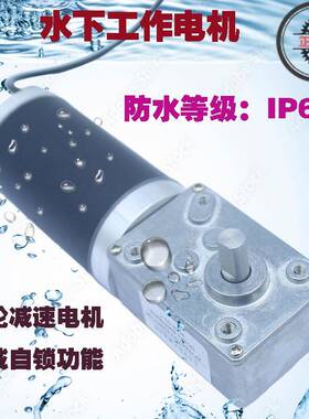 ZY58840-F42防水等级IP6减速电机金属齿轮蜗轮蜗HRL杆防潜水尘电