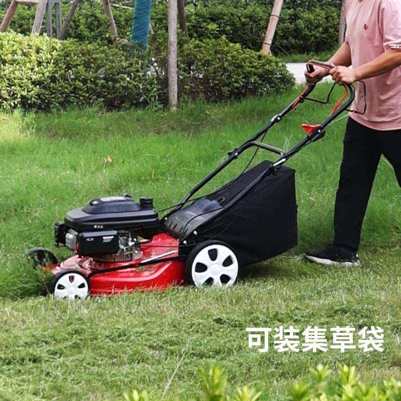 汽油割草机自手推式草坪机除修草机剪机果园剪走SXP打草机草机推