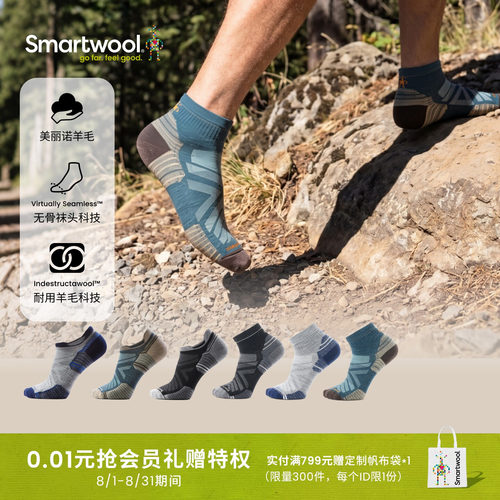 Smartwool区域轻量减震低筒袜