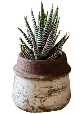 美掬复涵古陶瓷花瓶式工业风花器中古花盆侘寂TC06057 风装饰创摆