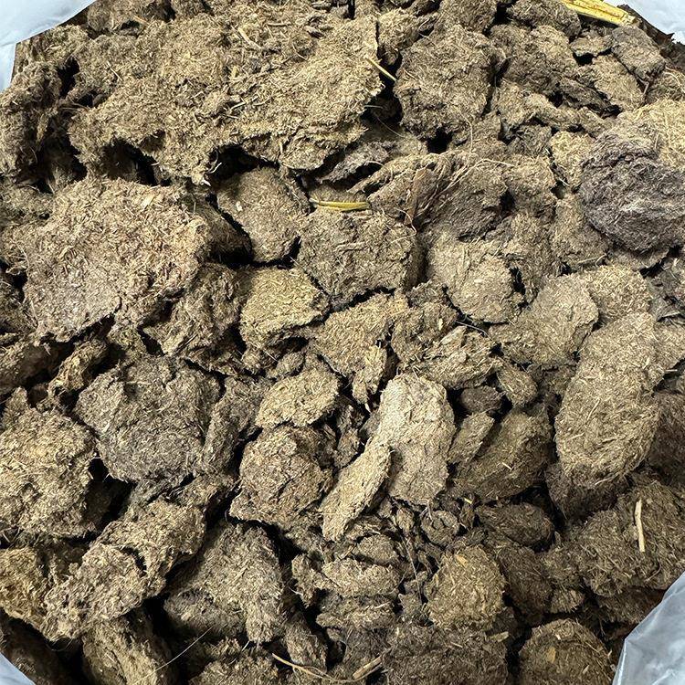 厂家直供屎农家牛干牛粪粪有机花卉蔬菜用料有机牛干牛粪块