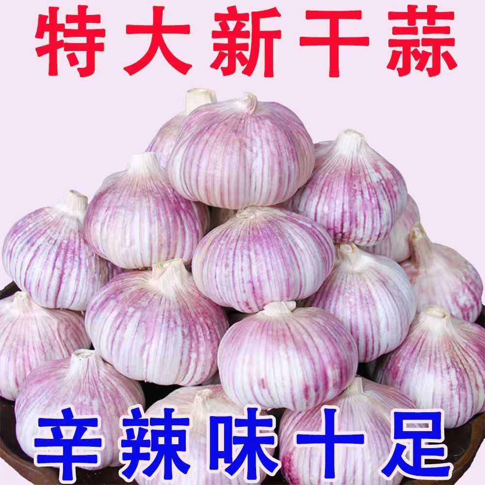 丰年蒜业杞县新鲜干大蒜紫白皮
