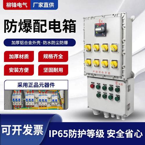 防爆配电箱照明控制电源箱接线检修箱仪表开关插座箱动力柜空箱