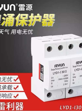LYD1-I30 一级电涌保护防雷器 1-2-3-4P上海雷源浪涌保护器350/10