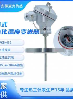 一体化温度传感器 一体化温度变送器 WZPKB-436 WRNKB-436 4~20mA