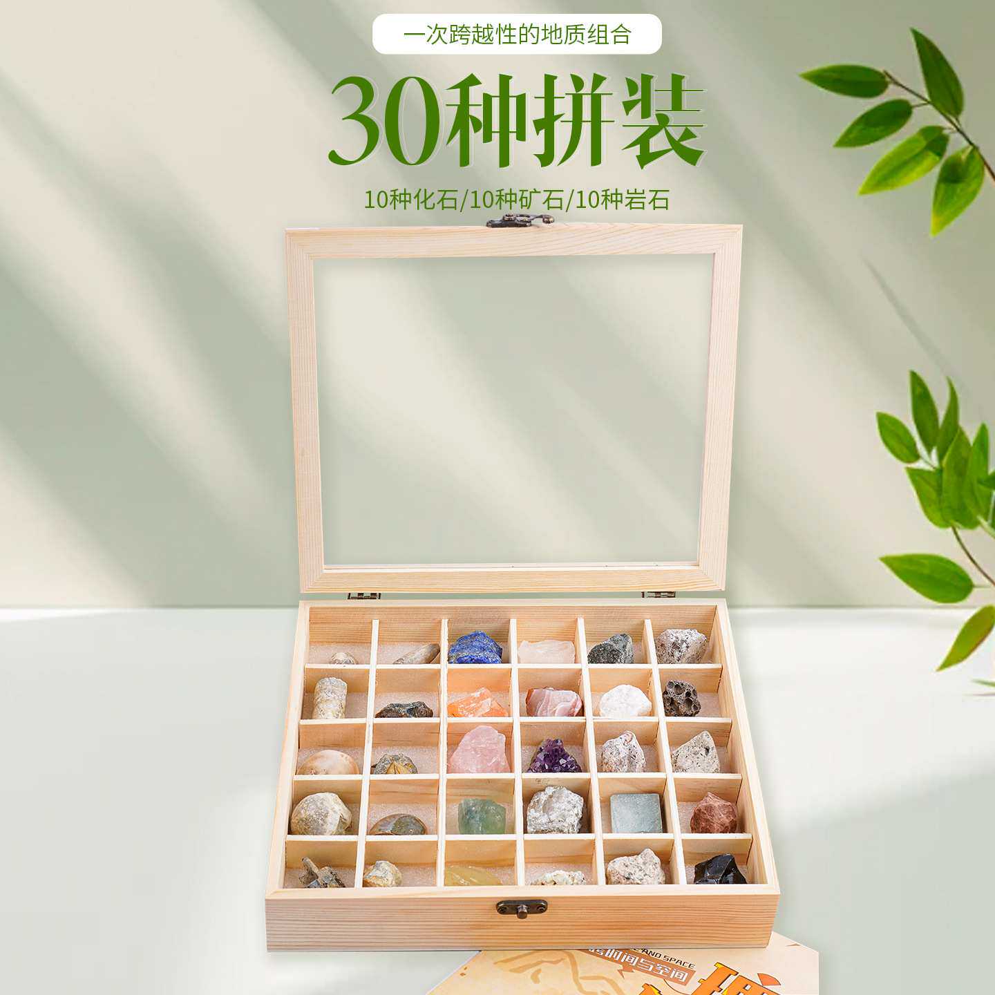 地球秘史天然奇石套装紫水晶化石矿石石头摆件青金石蜜蜡原石岩石