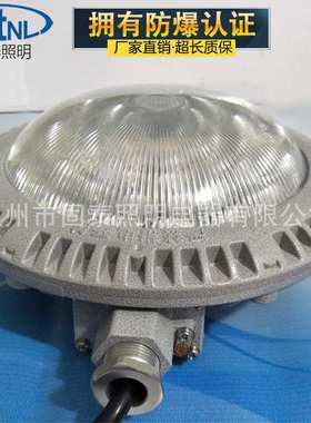 厂家供应10W 20W 30W LED防爆吸顶灯 BZD131-20XJ带应急吸顶灯