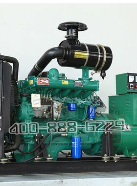 潍坊柴油发机组30/0/50/00/1电50/20041WFP/250/300KW千瓦380V三