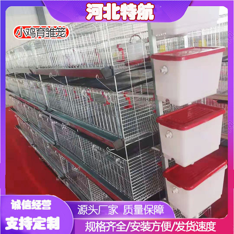 四层立体加密加粗防跑小鸡笼