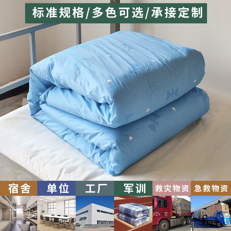 救灾应急棉被褥子内务被棉花被子学生训练用棉被冬季物资救灾棉被